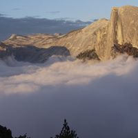 Thomas Mcnutt Photo 10