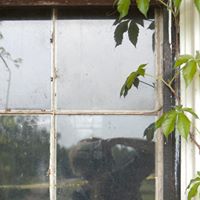 Abbie Turner Photo 20