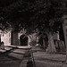 Margaret Wheeler Photo 31