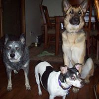 Christie Arnold Photo 40