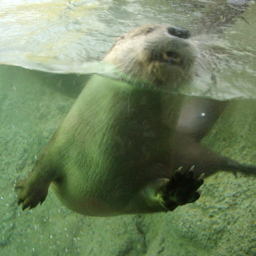 Phyllis Black Photo 20