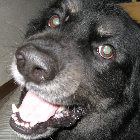 Kimberly Ruth Photo 14