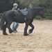 Karen French Photo 21