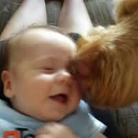 Therese Devine Photo 10