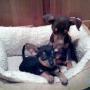 Debra Kennedy Photo 10