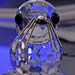 Crystal Seals Photo 28