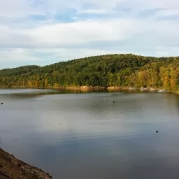 Judy Gregory Photo 12