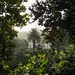 Philip Cook Photo 31