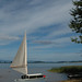 John Michalak Photo 38