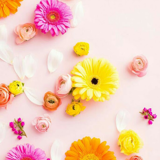 Stephanie Nunez Photo 9