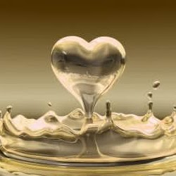 Lisa Mcmahan Photo 15