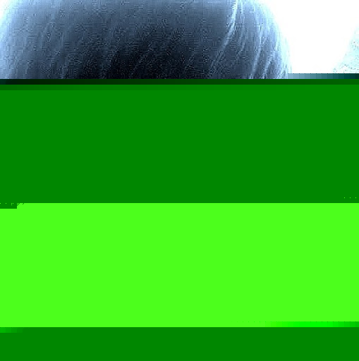 Michelle Gerlach Photo 5