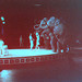 Barbara Buckles Photo 21