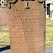 John Cannon Photo 28