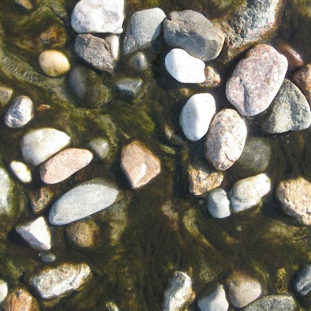 Lydia Farmer Photo 6