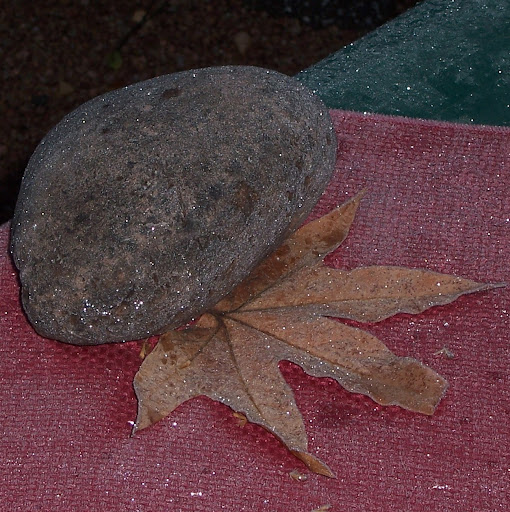 Kathleen Mcgee Photo 24