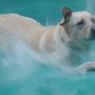 Nancy Wilks Photo 15