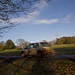 Steven Sheehan Photo 15