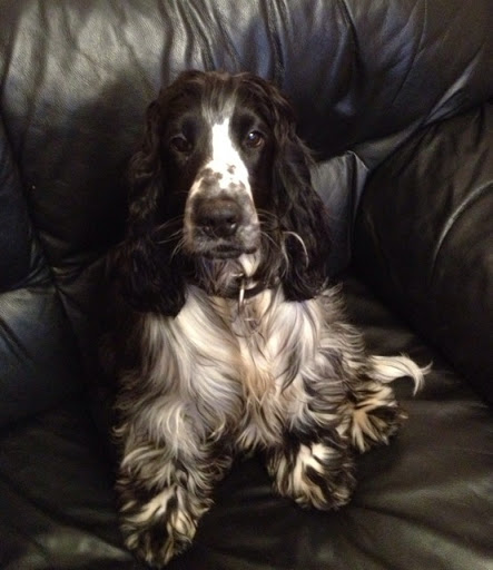 Sharon Sisson Photo 6