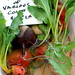 Nancy Farmer Photo 33
