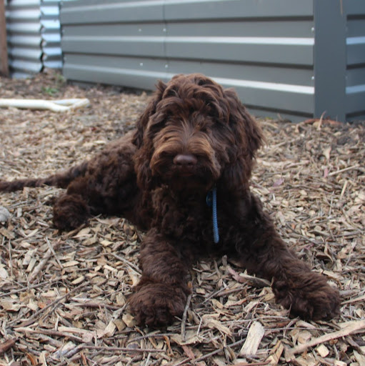 Michelle Van Photo 4