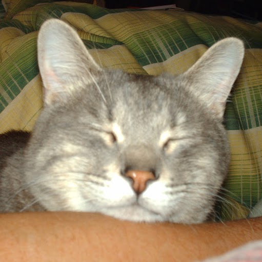 Eugene Copeland Photo 28