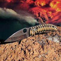 Steve Butcher Photo 18