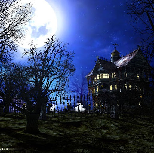 John Talbot Photo 29 John Talbot Photo 29