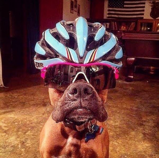 Mark Price Photo 50 Mark Price Photo 50