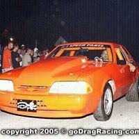 George Botelho Photo 22