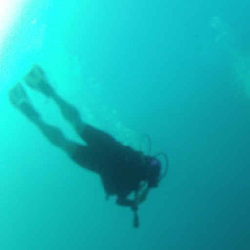 Allison Mercer Photo 9