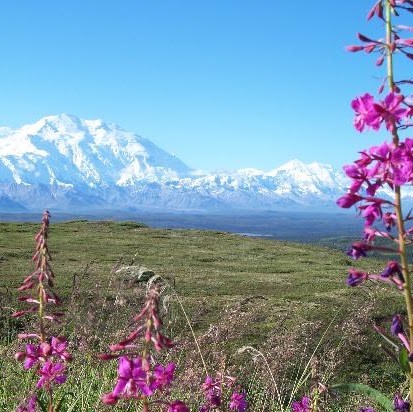 Colleen Craig Photo 33 Colleen Craig Photo 33