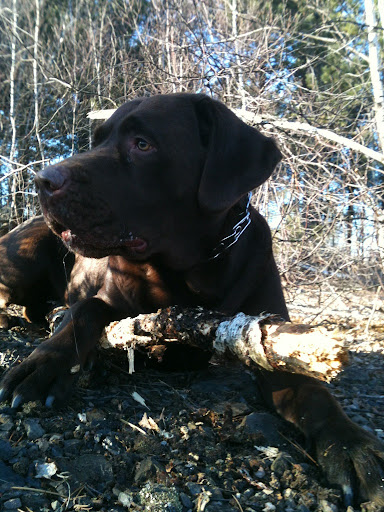 Bobbie Peters Photo 5