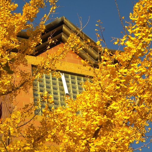 Ann Dyer Photo 22