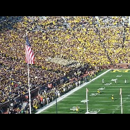 Greg Schaefer Photo 23