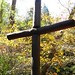 Brad Cross Photo 17