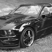 Greg Stapleton Photo 9