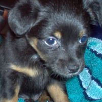 David Rivers Photo 38