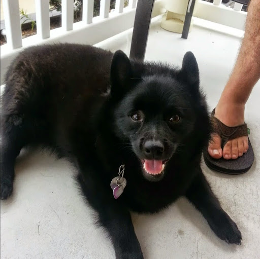 Jennifer Goldstein Photo 11