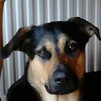 Bob Spencer Photo 35