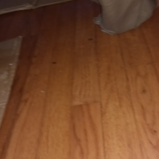 Annette Joseph Photo 29