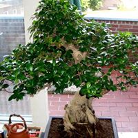 Phillip Levy Photo 2