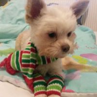 Faye Douglas Photo 17