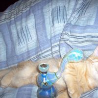 Susan Ericksen Photo 7