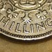 Elizabeth Shilling Photo 7