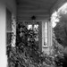Edna Montgomery Photo 10