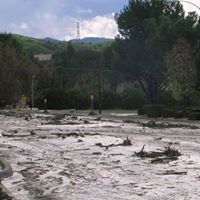 Lina Fernandez Photo 15