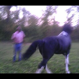 Carolyn Howard Photo 13