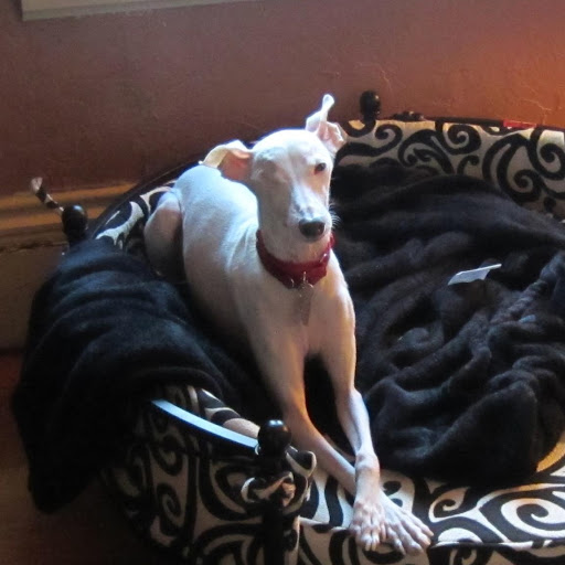 Jamie Ogden Photo 18