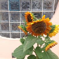 Marilyn Matthews Photo 11